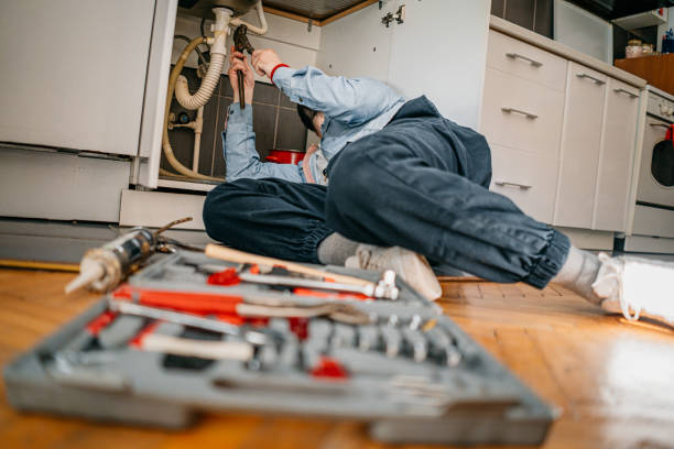 Best Local Plumber Services  in Berwyn, PA